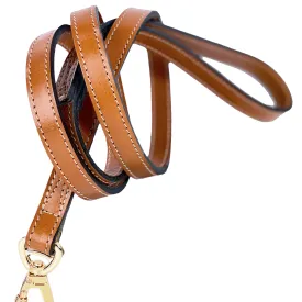 Hamilton Dog Leash in Tan & Gold