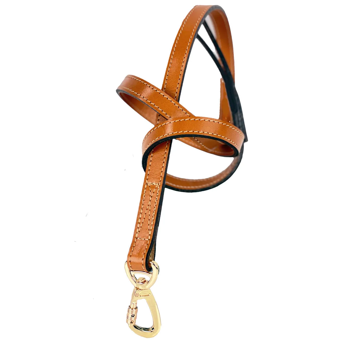 Hamilton Dog Leash in Tan & Gold