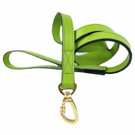 Regency Dog Leash in Lime Green & Gold