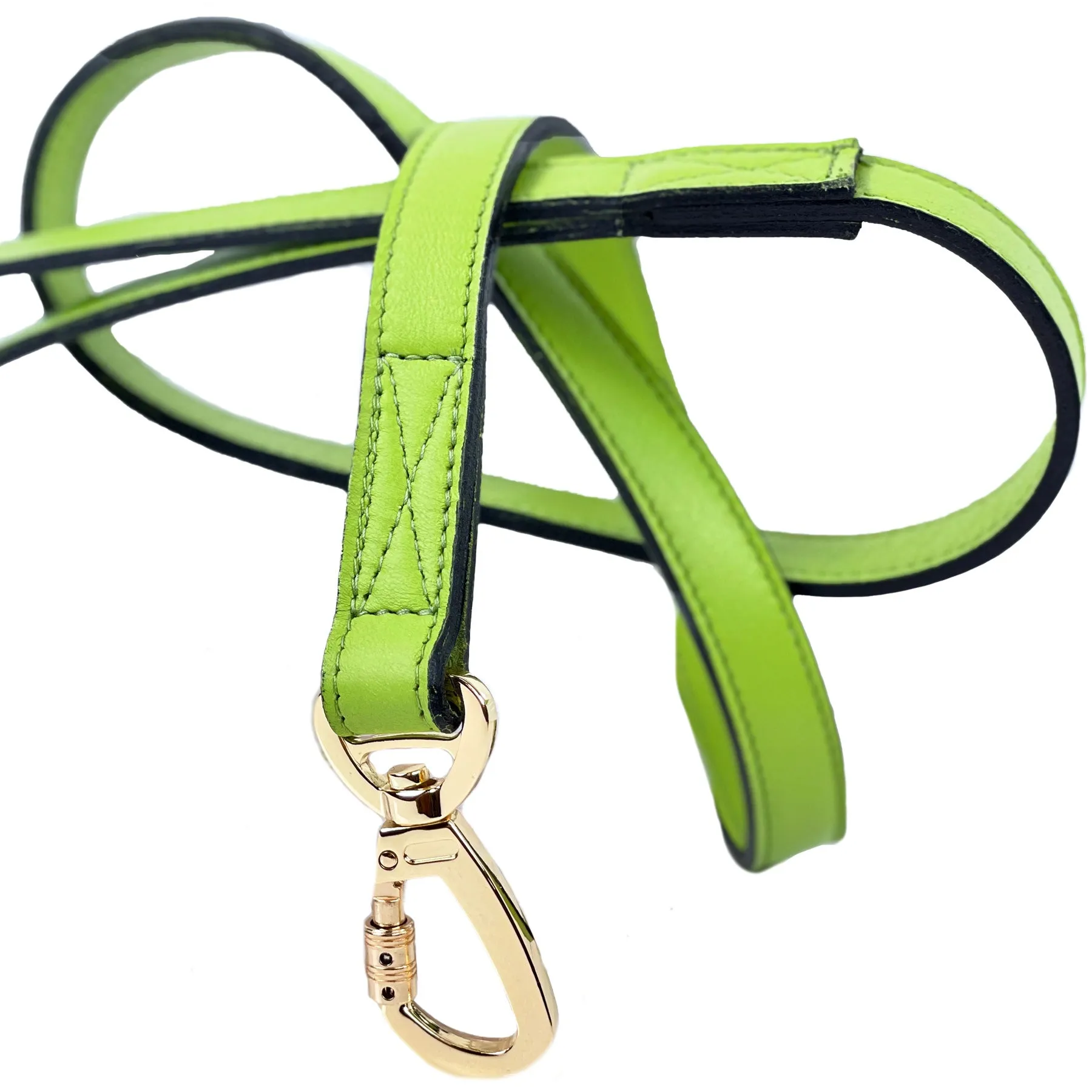 Regency Dog Leash in Lime Green & Gold