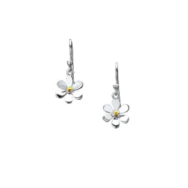 Summer Daisy earrings